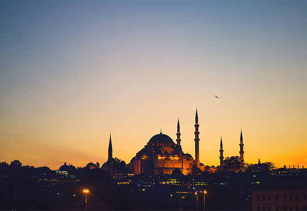 Abend- oder Morgenstimmung in Istanbul. Die Sonne färbt den Hügel auf dem sich die Moschee mit ihren 5 Minaretten befindet in goldgelbes Licht. Die Ruhe und Weite des Abend- bzw Morgenhimmels wird konterkariert durch die Dichte an Lichtern, die aus dem Dunkel am Fuße des Moscheehügels heraus leuchten. Eine einzelne Möwe, die sich dunkel gegen den helleren Hintergrund abzeichnet verbindet die Weite des Himmels mit dem Gedränge am Boden, da sie von beidem ein Teil ist. 